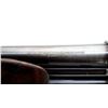 Image 8 : BERETTA | Model: Silver Pigeon | Caliber: 12 G X 2 3/4"