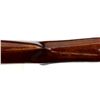 Image 13 : BREDA | Model: Semi Automatic  | Caliber: 12 G X 2 3/4"