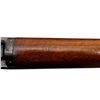 Image 19 : SWISS SCHMIDT RUBIN | Model: 1889 | Caliber: 7.5 X 53.5