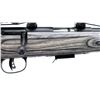 Image 3 : SAVAGE | Model: 93R17 | Caliber: .17 HMR
