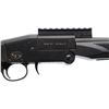 Image 3 : CHARLES DALY | Model: 101 | Caliber: 410 G X 3"