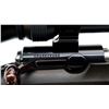 Image 9 : BROWNING | Model: T Bolt | Caliber: .22 LR