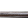 Image 10 : W.W. GREENER | Model: Side By Side Hammerless | Caliber: 10 G X 2 7/8"