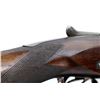Image 17 : W.W. GREENER | Model: Side By Side Hammerless | Caliber: 10 G X 2 7/8"