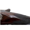 Image 8 : W.W. GREENER | Model: Side By Side Hammerless | Caliber: 10 G X 2 7/8"