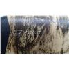 Image 9 : SAVAGE | Model: 110 AP Predator XP | Caliber: .308 WIN