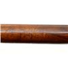 Image 17 : WINCHESTER | Model: 1894 | Caliber: .38-55 WCF