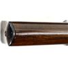 Image 12 : NORINCO | Model: JW25A Copy of K98 | Caliber: .22 LR