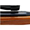Image 12 : FN BROWNING | Model: Safari | Caliber: .243 WIN