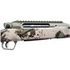 Image 3 : SAVAGE | Model: Impulse Big Game | Caliber: .30-06 SPRG