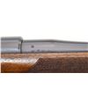 Image 12 : SAUER | Model: 101 Select | Caliber: .308 WIN