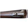 Image 16 : WINCHESTER | Model: 1892 DCP | Caliber: .44 WCF