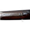 Image 17 : WINCHESTER | Model: 1892 DCP | Caliber: .44 WCF