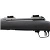 Image 6 : SAVAGE | Model: 110 Varmint | Caliber: .22-250 REM