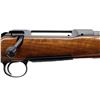 Image 3 : SAUER | Model: 101 Classic | Caliber: 7MM REM MAG