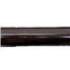 Image 14 : AMERICAN GUN CO | Model: Victor Plain | Caliber: 16 G X 2 1/2"
