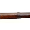 Image 11 : UNKNOWN BELGIAN | Model: Zulu | Caliber: 12 G X 2 3/4"