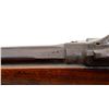 Image 7 : UNKNOWN BELGIAN | Model: Zulu | Caliber: 12 G X 2 3/4"