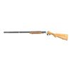 Image 4 : UNKNOWN MAKER | Model: Single Shot | Caliber: 12 G X 3"