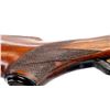 Image 9 : MERKEL | Model: 8 | Caliber: 12 G X 3"