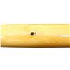 Image 10 : MARLIN | Model: 80DL | Caliber: .22 LR