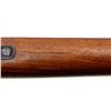 Image 12 : SAVAGE | Model: 340B | Caliber: .22 HORNET