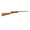 Image 1 : COOEY | Model: Canuck  | Caliber: .25 RF