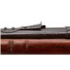 Image 7 : CENTURY ARMS | Model: 20 | Caliber: .22 LR