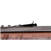 Image 8 : CENTURY ARMS | Model: 20 | Caliber: .22 LR