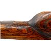 Image 9 : WESTERN ARMS | Model: Single Shot | Caliber: 12 G X 2 3/4"