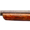 Image 12 : UNKNOWN SWEDISH | Model: Rolling Block Sporter | Caliber: 28 G X 2 1/2"