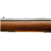 Image 6 : DEACTIVATED GABE BOURGET  | Model: Percussion | Caliber: .58 CAL