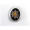 Image 1 : WWII GERMAN HEERESBERGFUHRER BADGE