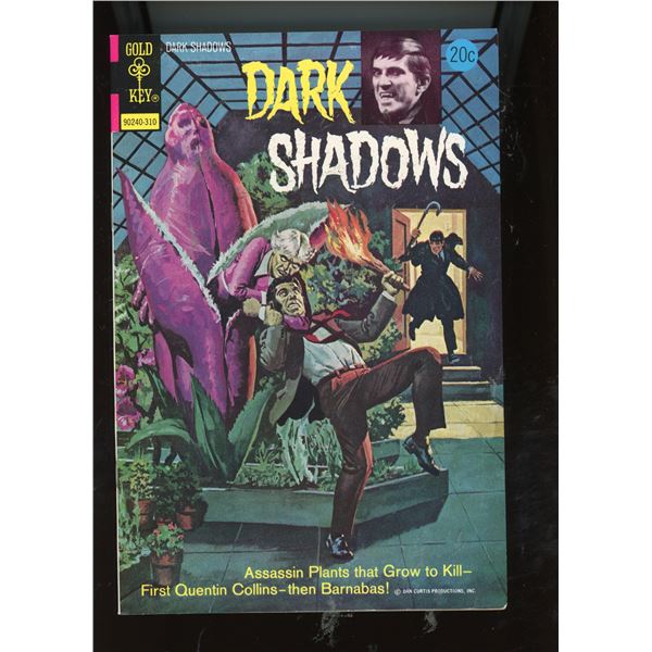 Dark Shadows #22 Gold Key Comic (1973)