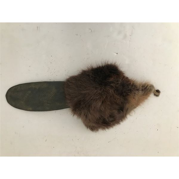 Beaver SFX Tail/ Hertz Commercial