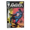 Image 2 : The Punisher 1990s Comic Collection