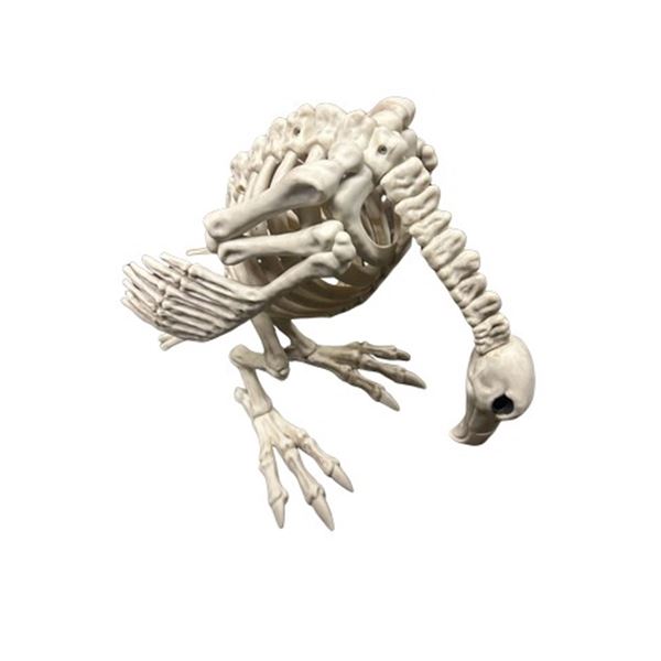 Hell Fest Skeleton Vulture Movie Props