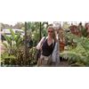 Image 2 : Adaptation. Susan Orlean (Meryl Streep) Hero Movie Costumes