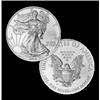 Image 1 : 2010 Silver American Eagle