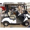 Image 1 : 2020 Yamaha DR2E19AC 2-Seat Golf Cart