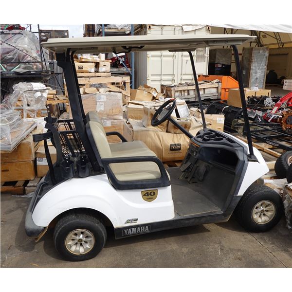 2021 Yamaha DR2E19AC 2-Seat Golf Cart