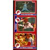 Image 1 : 1984 STAR COMPANY STEVE CARLTON (HOF) INTACT FULL PANEL