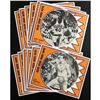 Image 1 : 1976-77 PHOENIX SUNS TEAM ISSUE - COMPLETE SET