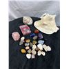 Image 1 : Sea Shells and Assorted Minerals