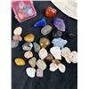 Image 2 : Sea Shells and Assorted Minerals