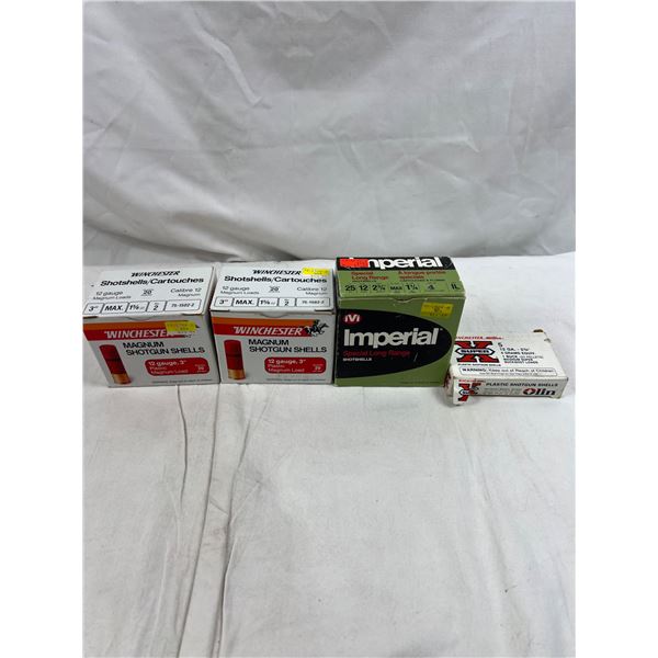 Variety of Shotgun Shells