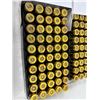 Image 5 : Wasp Munitions Reloaded Cartridges