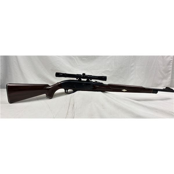 Remington Nylon 66 .22 LR