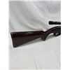 Image 2 : Remington Nylon 66 .22 LR