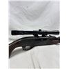 Image 4 : Remington Nylon 66 .22 LR